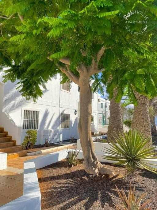 San Valentin Pakky House Apartment Corralejo Bagian luar foto